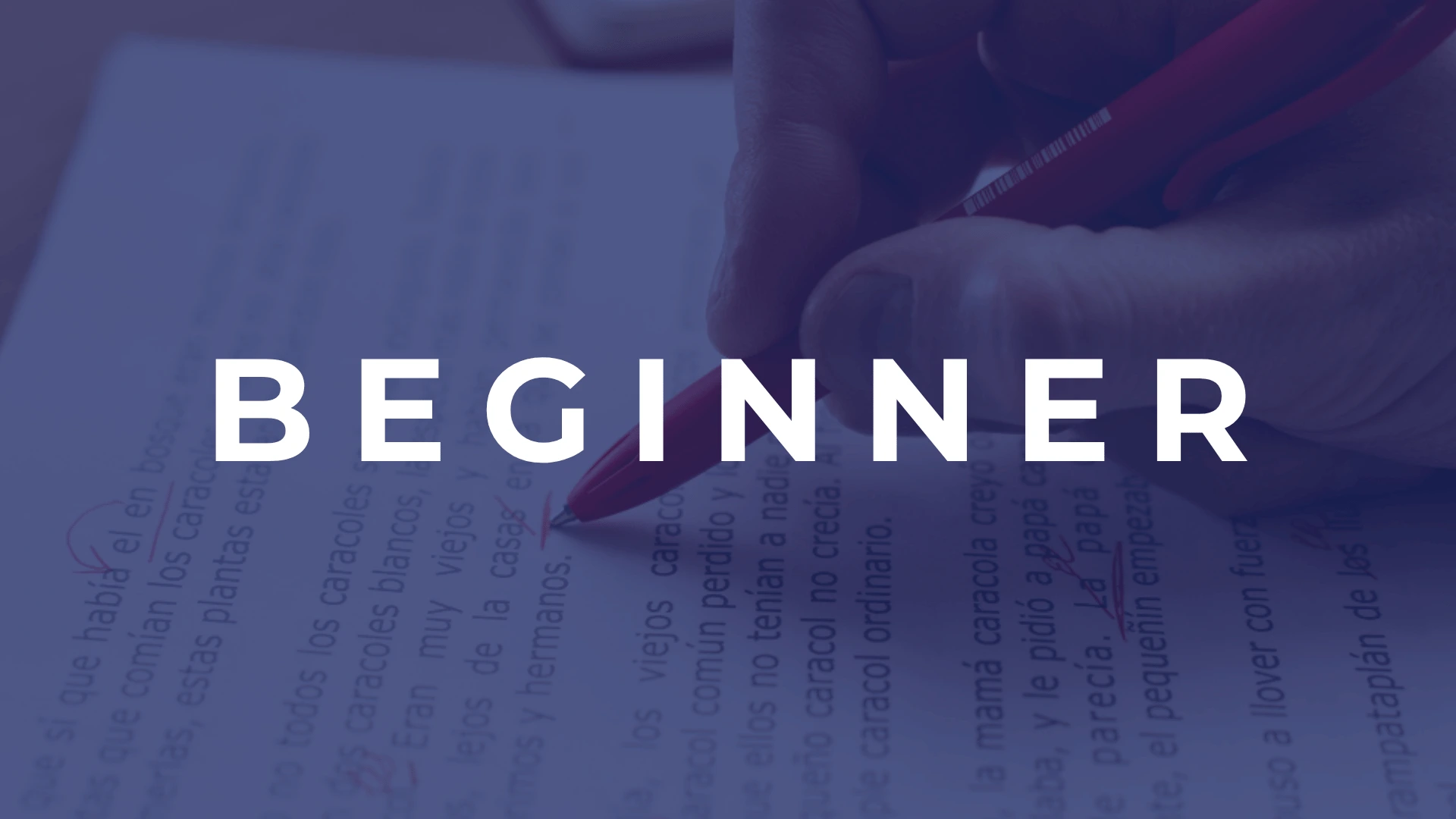 prediction beginner